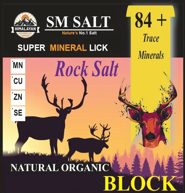 Animal Licking Salt