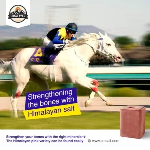 Himalayan Rock Block Salt For Horses